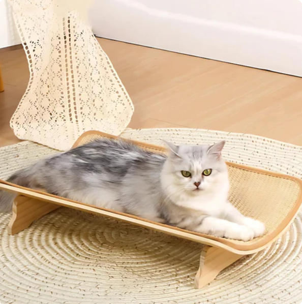 人間工学に基づいた爪とぎマット付き、落ち着いた猫用ベッド