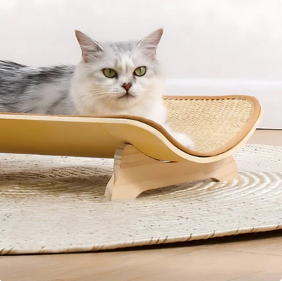 人間工学に基づいた爪とぎマット付き、落ち着いた猫用ベッド