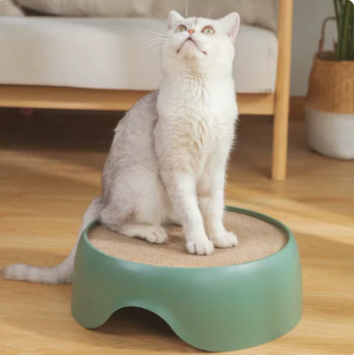 猫用多機能ライト（爪とぎ面と休憩クッション付き）
