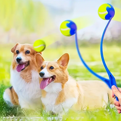 Dog Ball Launcher - Long Throw Fun for Active Four-Legged Friends