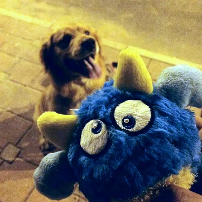Interactive Plush Monster Ball – Fun Toy for Dogs