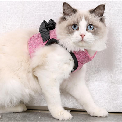 猫用ハーネス（リード付き）
