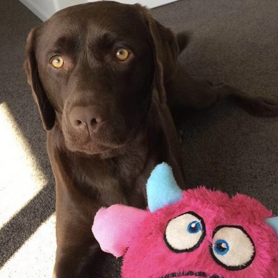 Interactive Plush Monster Ball – Fun Toy for Dogs