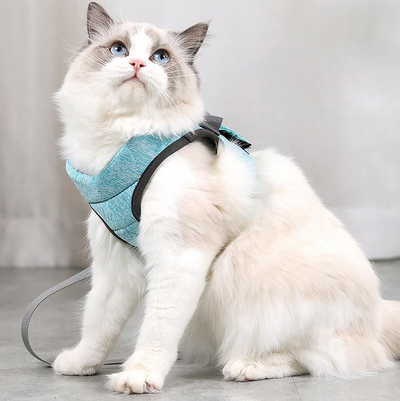 猫用ハーネス（リード付き）