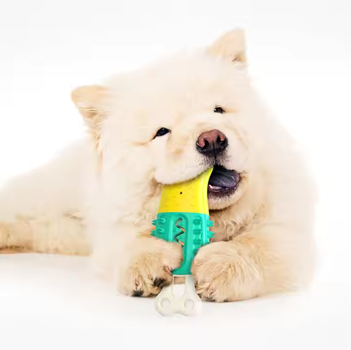 Chew Toy for Dogs – Interactive Toy with Suction Function for Dental Care