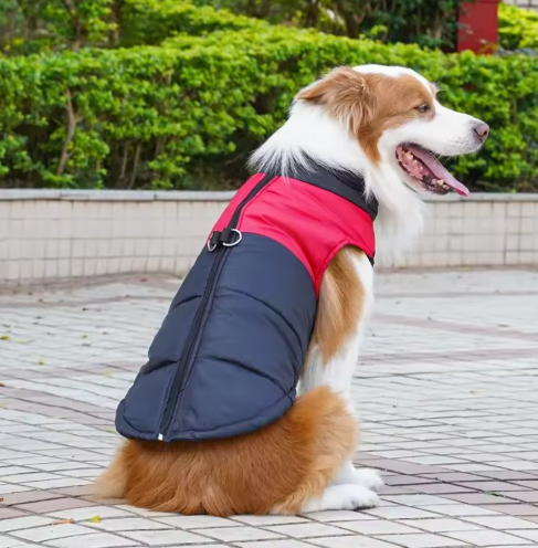 Waterproof and warm dog jacket for cold days