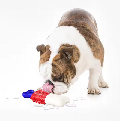 Chew Toy for Dogs – Interactive Toy with Suction Function for Dental Care