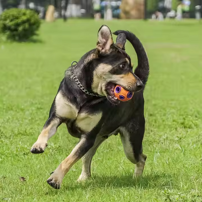 Interactive Dog Toy Ball – With Music and Lighting Function for Dogs