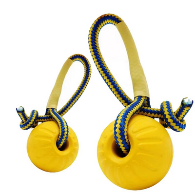 Robust Dog Toy – Fetch and Tug Ball with Rope