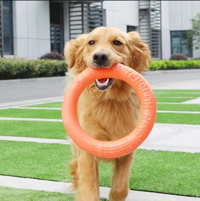 Rugged Throw and Bite Ring – Interactive Dog Toy for Active Fun