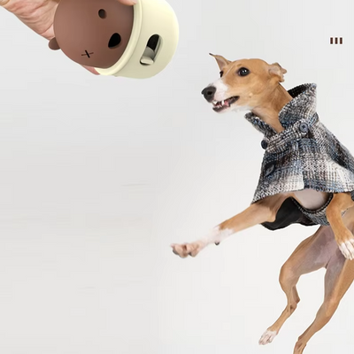 Interactive Dog Toy – Bear Shape with Click Mechanism for Dogs