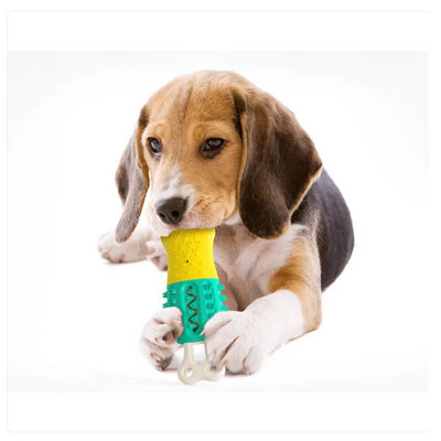 Chew Toy for Dogs – Interactive Toy with Suction Function for Dental Care