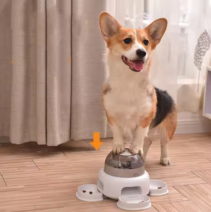 透明な容器付きドッグフードディスペンサー - 簡単に補充でき、餌が見えるので便利です