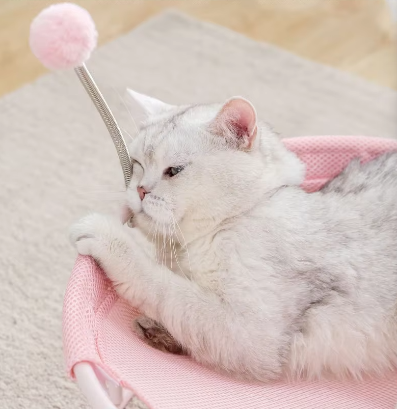 ラウンドキャットハンモック - 遊びボールと安定したフレームを備えた猫のための快適な休憩場所