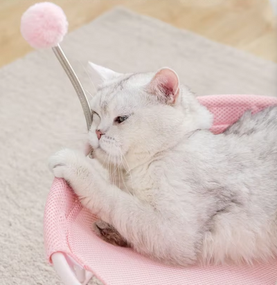 ラウンドキャットハンモック - 遊びボールと安定したフレームを備えた猫のための快適な休憩場所