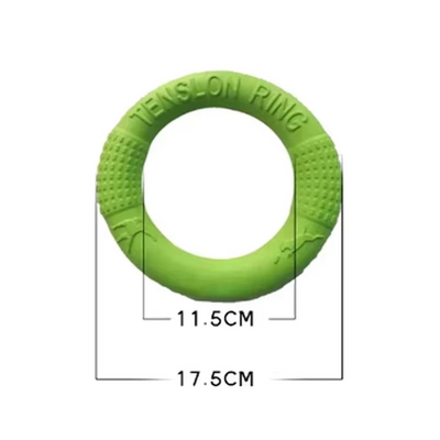 Rugged Throw and Bite Ring – Interactive Dog Toy for Active Fun