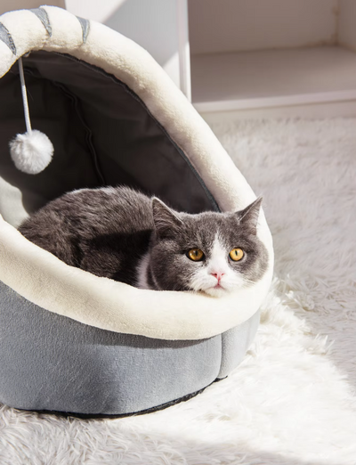 心地よい猫用ベッド - 耳にフィットするプレイボール付きソフトイグルー