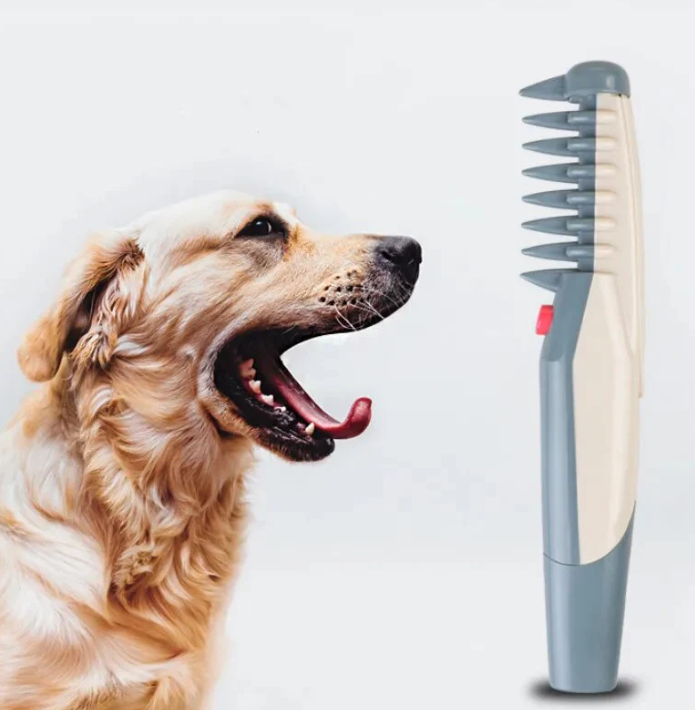 Electric Hair Clipper