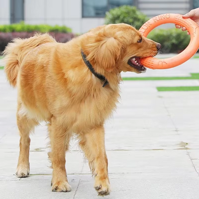 Rugged Throw and Bite Ring – Interactive Dog Toy for Active Fun