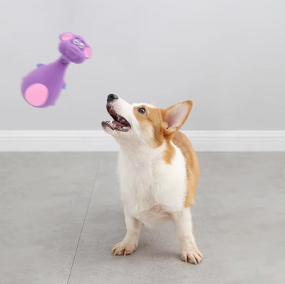 Dog Toy Animal Figure – Funny Squeaky Toy for Interactive Play Fun