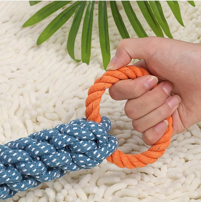 Dog Toy Chew Bone – Durable Rope Toy for Tugging and Biting Games