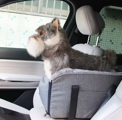 Dog seat for the car
