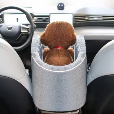 Dog seat for the car