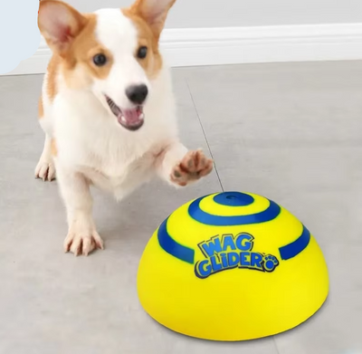 Interactive Dog Toy – Rotatable Spiral-Shaped Play Mat for Mental Stimulation