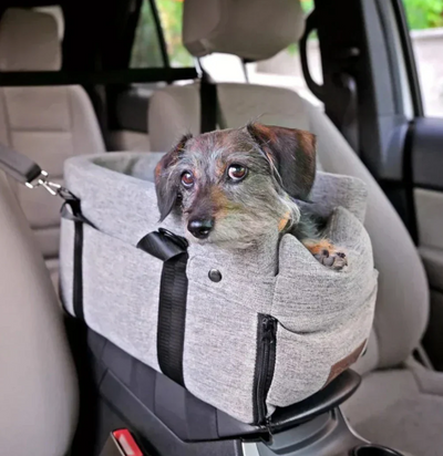 Dog seat for the car
