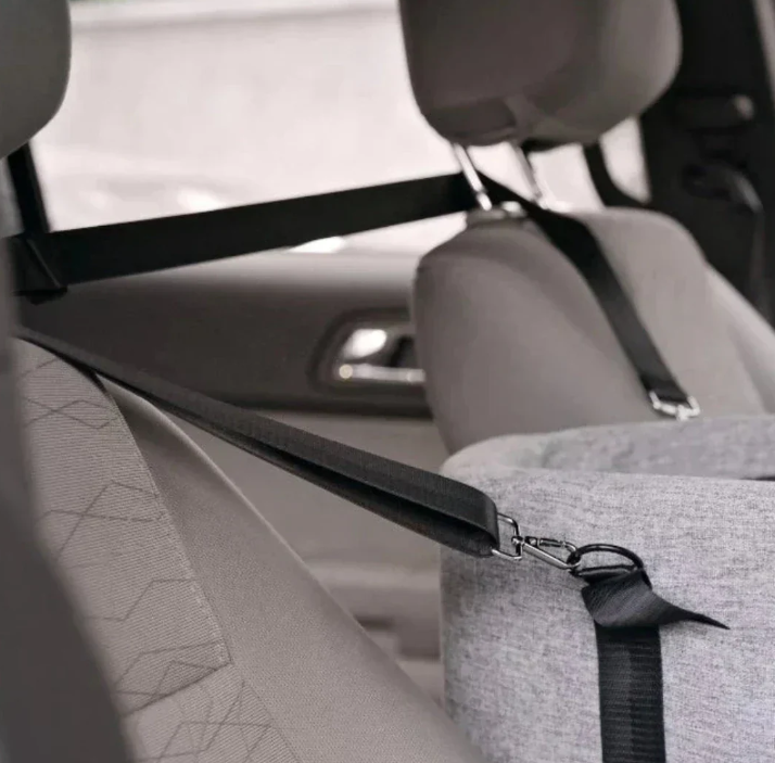 Dog seat for the car
