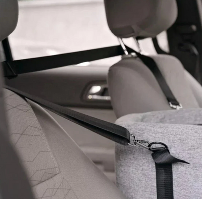 Dog seat for the car
