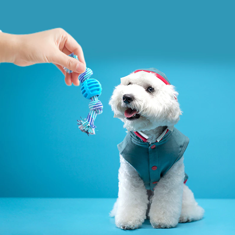 Dog Toy Chewing Rope – Durable Rope with Chew Ball for Dental Care and Play Fun