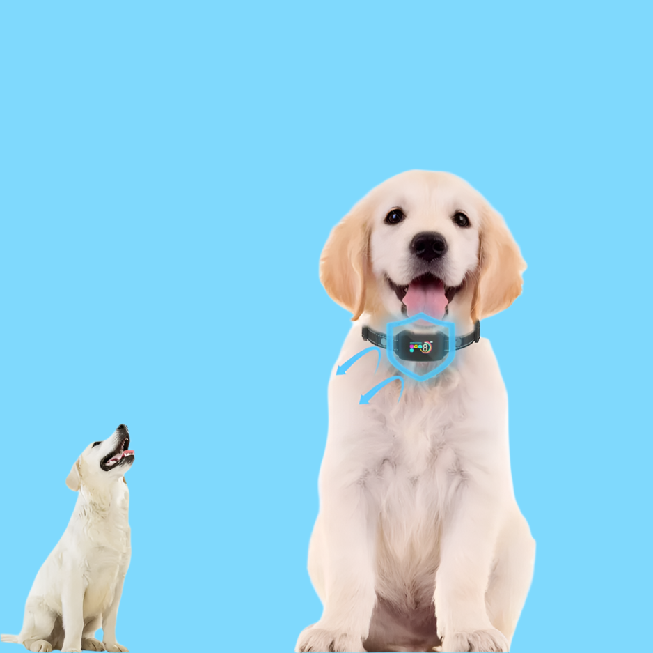 Dog Training Collar – 8 Levels of Vibration Shock Mode