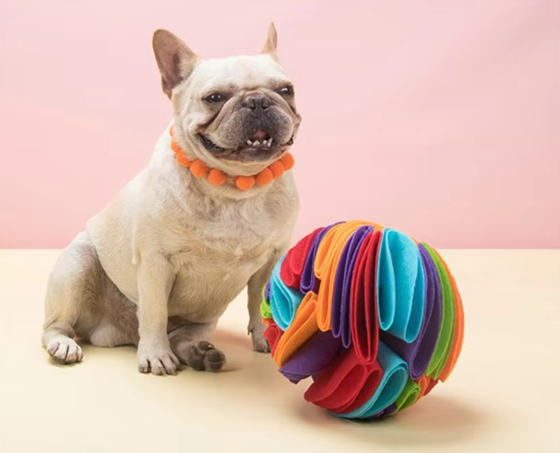 Dog Toy Ball – Colorful Fabric Ball for Dogs to Chew and Play