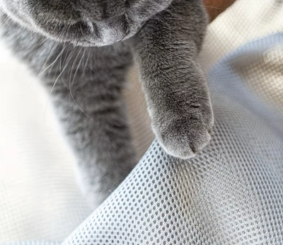キャットハンモック - 快適な休憩のための安定した金属サポートを備えた通気性のある猫用ベッド