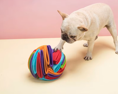 Dog Toy Ball – Colorful Fabric Ball for Dogs to Chew and Play