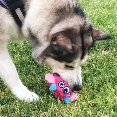 Interactive Plush Monster Ball – Fun Toy for Dogs