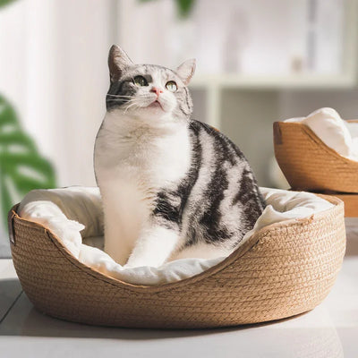Cozy bamboo wicker cat bed – 100% cotton with removable cushion