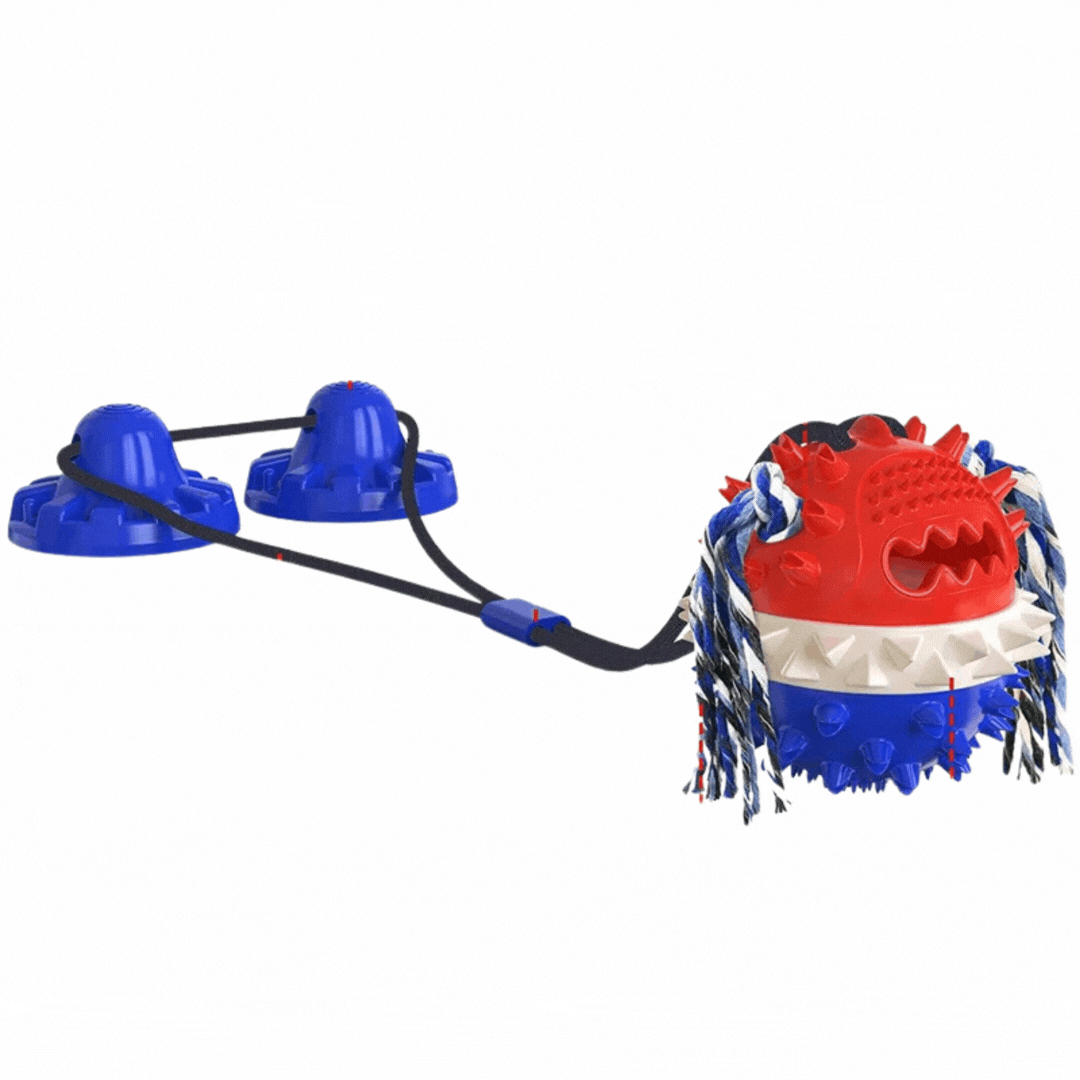 Interactive dog toy with suction cups and treat dispenser