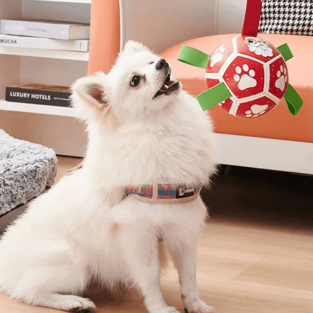 Interactive Dog Toy in Ball Shape – With Nylon Rope and Handles