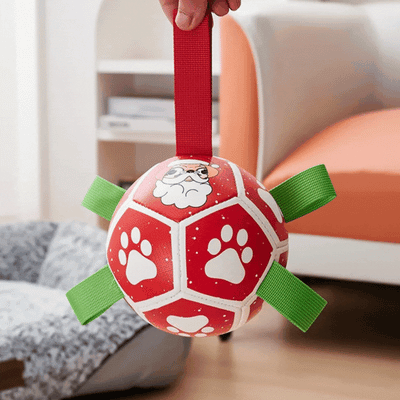 Interactive Dog Toy in Ball Shape – With Nylon Rope and Handles