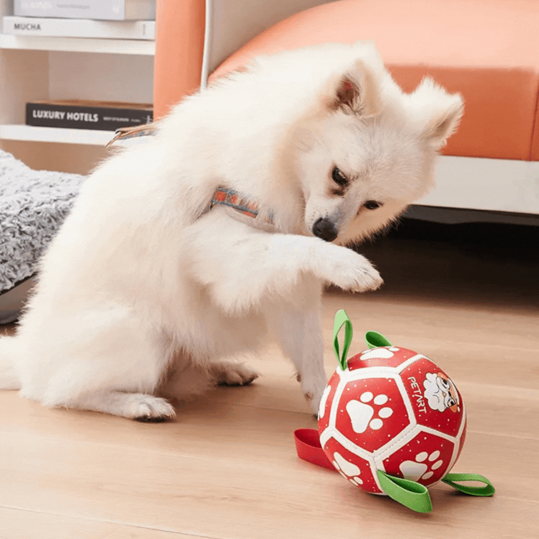 Interactive Dog Toy in Ball Shape – With Nylon Rope and Handles