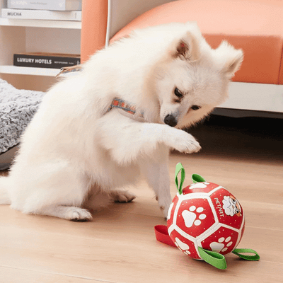 Interactive Dog Toy in Ball Shape – With Nylon Rope and Handles