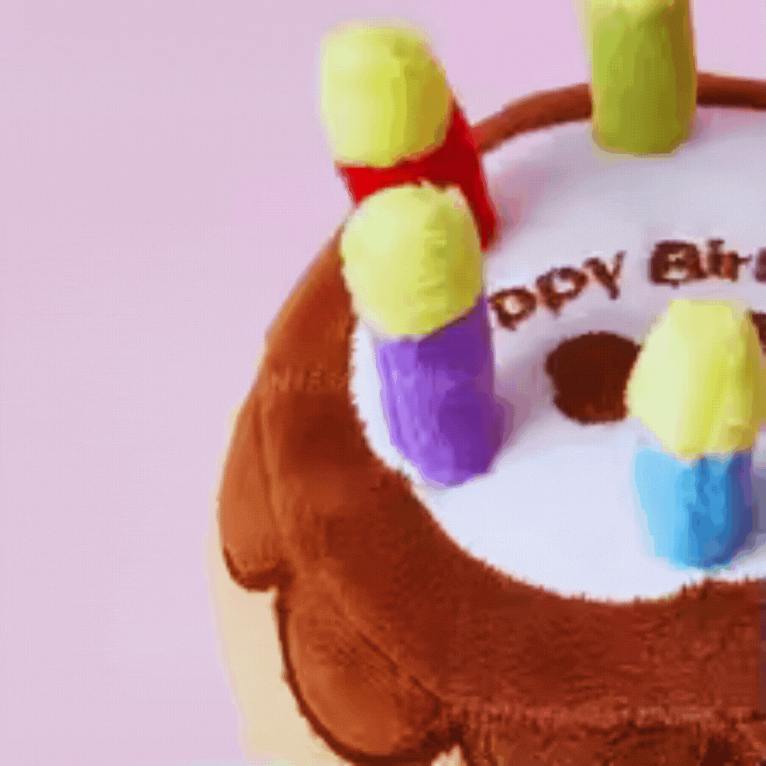 Dog Toy Birthday Cake – With Candles and Plush
