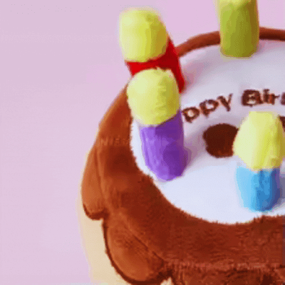 Dog Toy Birthday Cake – With Candles and Plush