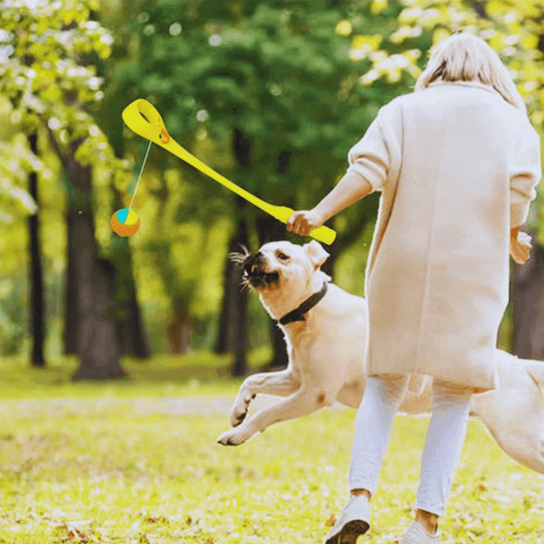 Dog Toy Throwing Game for Dogs with Ball Throwing Stick
