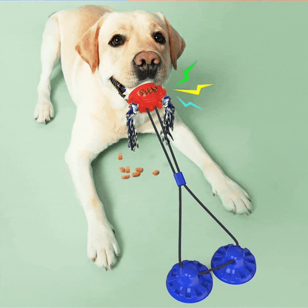Interactive dog toy with suction cups and treat dispenser