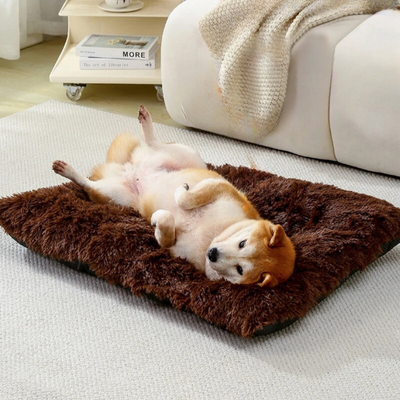 Ultra Soft and Cozy Washable Dog Sleeping Mat