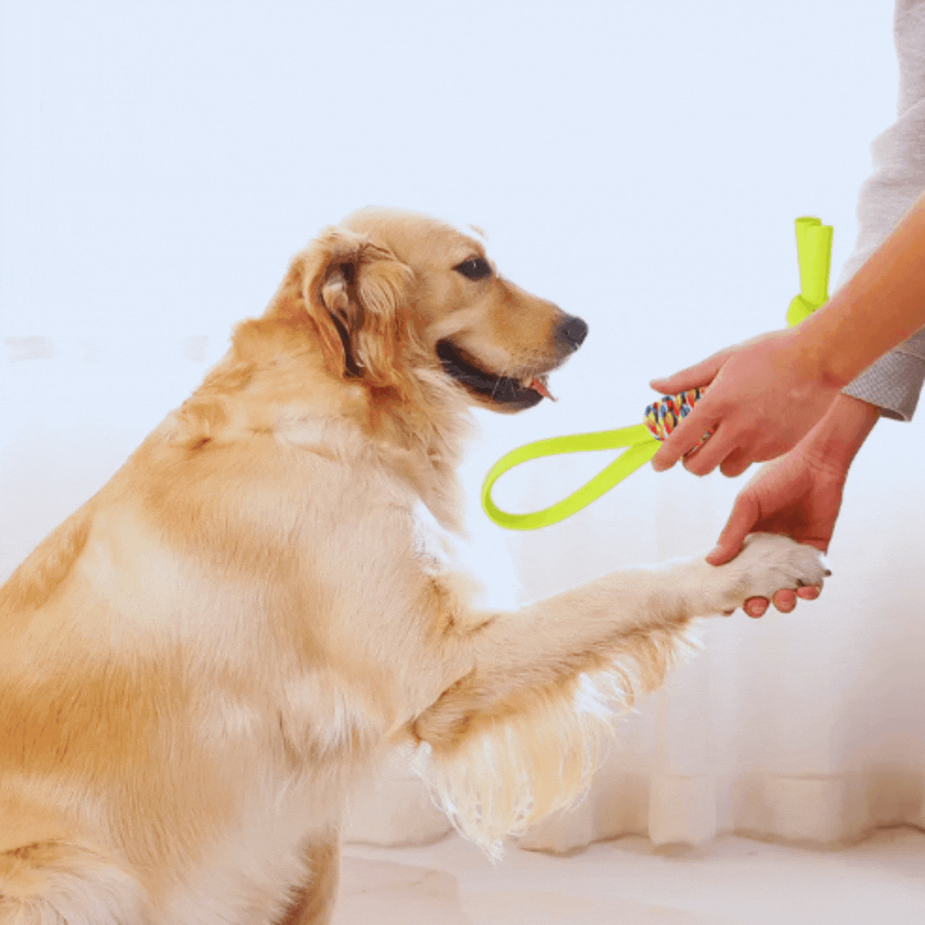 Dog Toy Made of Rope – Colorful Tug Rope for Chewing and Playing