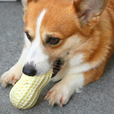 Peanut Shaped Dog Toy – Chew Toy with Sound Hole for Dogs